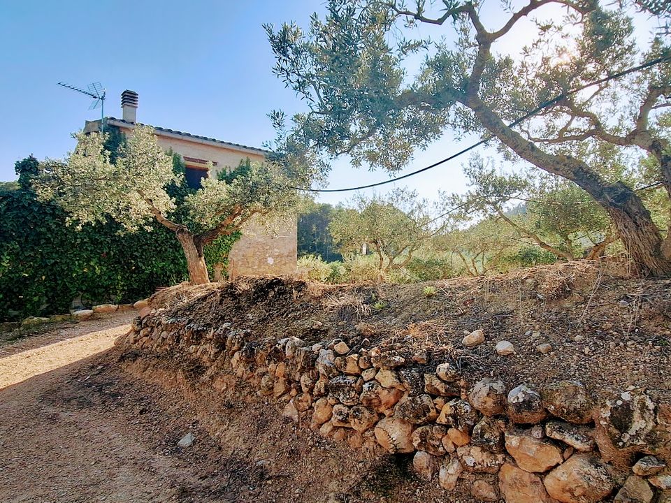 Finca i Rasquera, Tarragona - foto 1